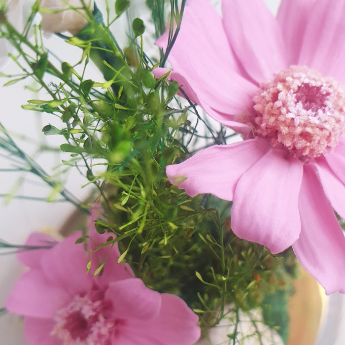 Aranjament floral plante stabilizate Cupolă flori stabilizate roz [2]