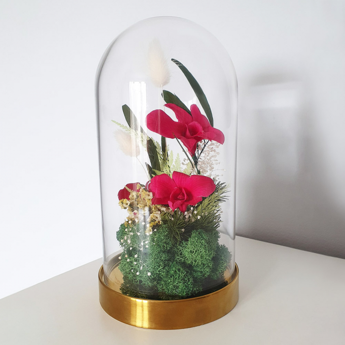 Aranjament floral plante stabilizate Cupolă orhidee stabilizate magenta [3]