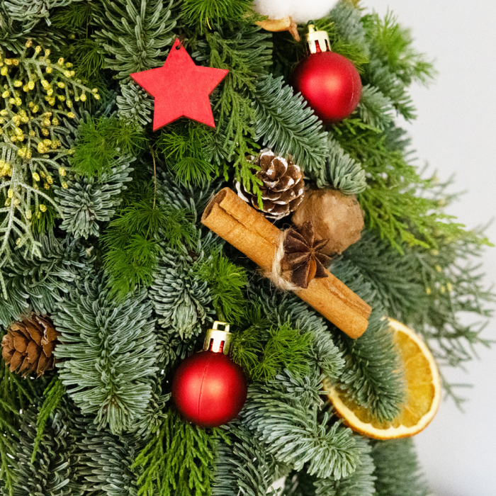 Bradut natural decorativ Craciun in vas ceramic [2]