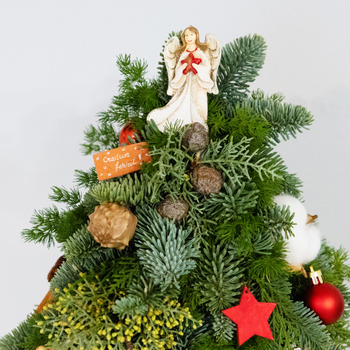 Bradut natural decorativ Craciun in vas ceramic [3]