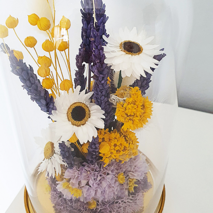 Aranjament floral plante stabilizate Cupolă flori de câmp DecoTerrarium [2]