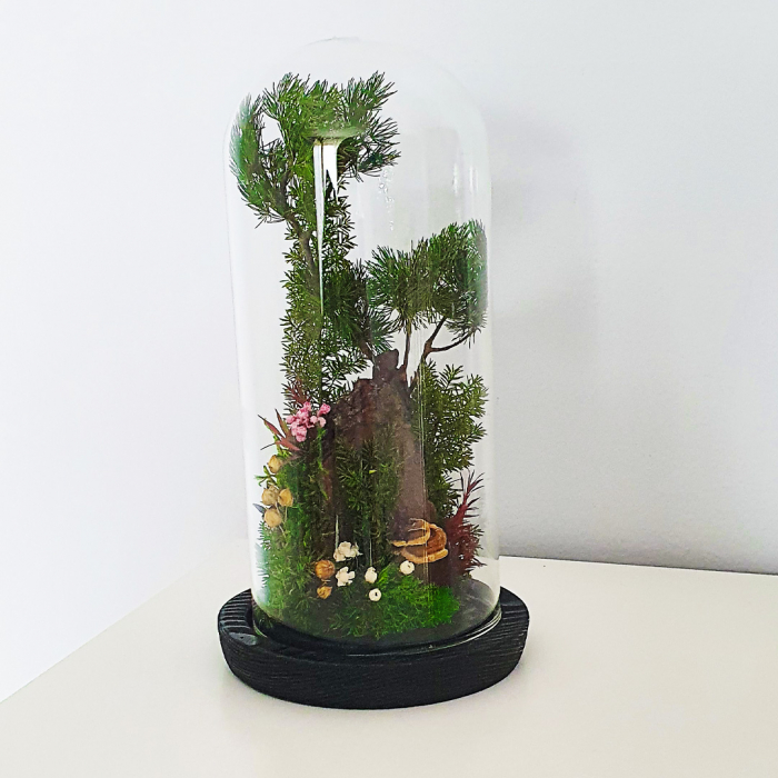 Aranjament floral plante stabilizate Cupolă peisaj stâncos DecoTerrarium [3]