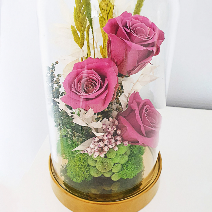 Aranjament floral plante stabilizate Cupolă trandafiri roz criogenați [2]
