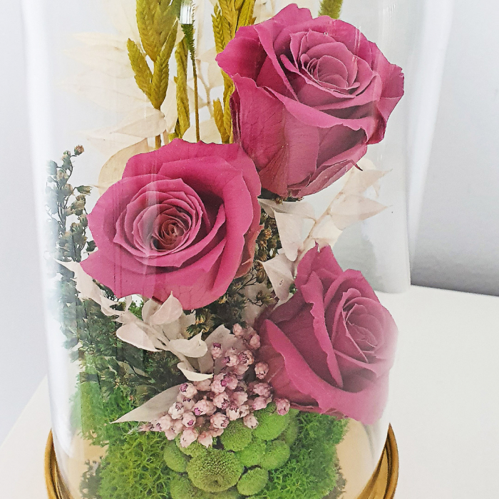 Aranjament floral plante stabilizate Cupolă trandafiri roz criogenați [3]
