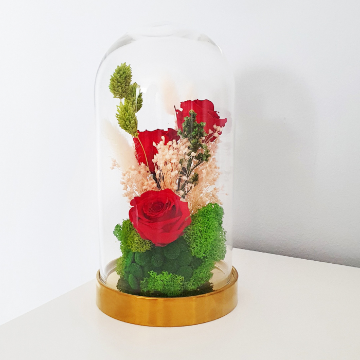 Aranjament floral plante stabilizate Cupolă trandafiri criogenați DecoTerrarium [5]