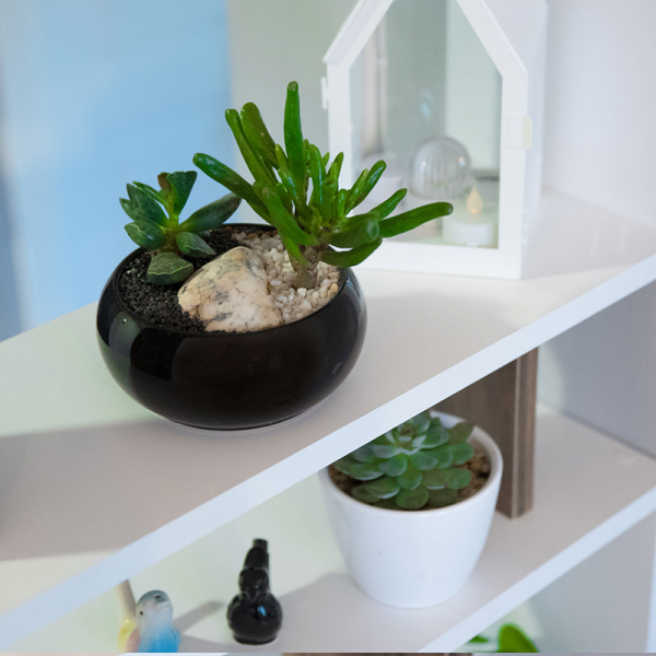 Terariu în vas de ceramică cu plante suculente "Black&White DecoTerrarium [3]
