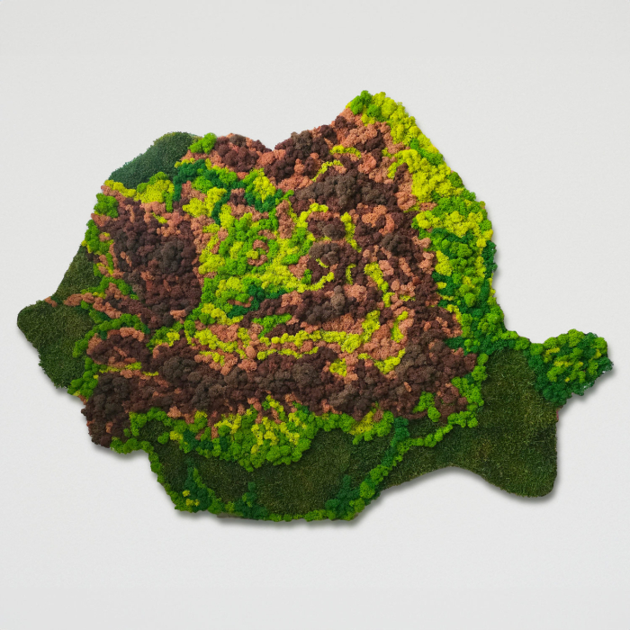 Harta geografică  a României din licheni şi muşchi , dimensiune 140x100 cm [2]