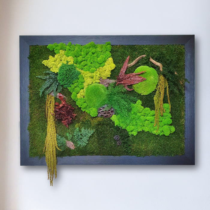 Panou decorativ elemente naturale mușchi licheni stabilizati 72×52cm [2]