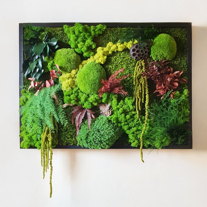 Panou decorativ  vegetal  cu licheni, muschi si alte elemente naturale 72×52cm [2]