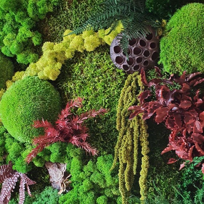 Panou decorativ  vegetal  cu licheni, muschi si alte elemente naturale 72×52cm [4]