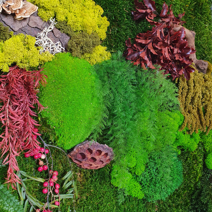 Panou vegetal cu mușchi, licheni si elemente naturale 72×52cm [2]