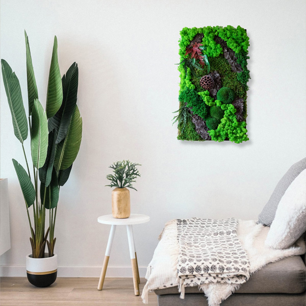 Panou decorativ natural cu licheni DecoTerrarium [3]