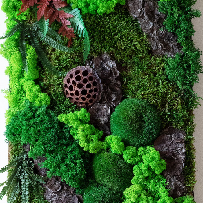 Panou decorativ natural cu licheni DecoTerrarium [2]