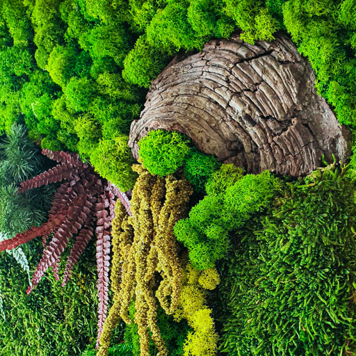 Panou decorativ ,,Pădure" cu plante naturale 60×35cm [4]