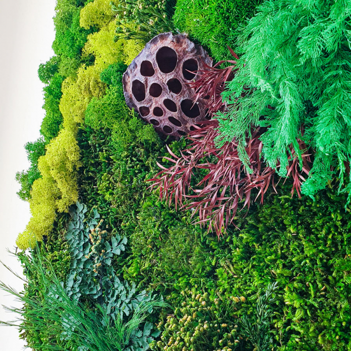 Panou decorativ ,,Pădure" cu plante naturale 60×35cm [3]