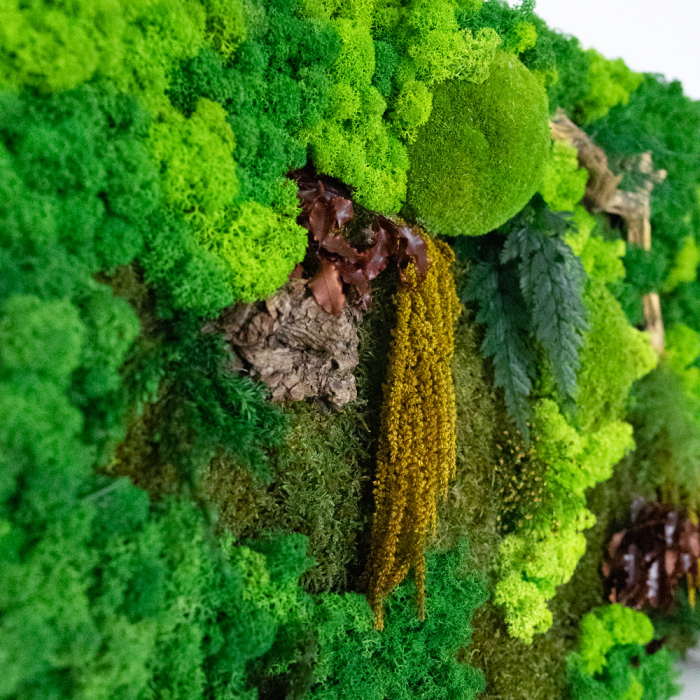 Panou decorativ cu licheni si plante stabilizate peisaj "Padure" 72x52 cm [5]