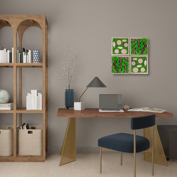 Panouri decorative modulare cu licheni DecoTerrarium [4]