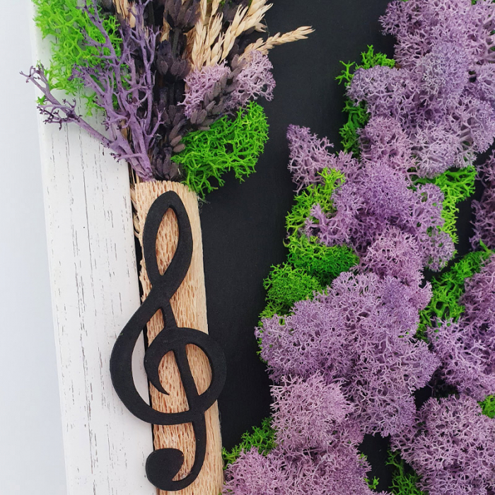 Tablou cu licheni stabilizați "Câmp lavandă" DecoTerrarium [2]