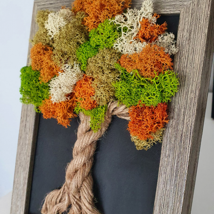 Tablou cu licheni stabilizați "Copăcel de toamnă" DecoTerrarium [2]