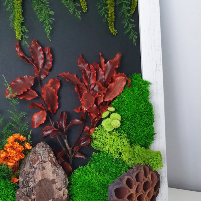 Tablou cu licheni stabilizați "Pădure" DecoTerrarium [3]