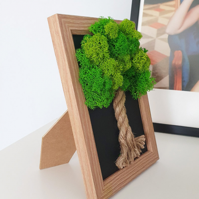 Tablou cu licheni stabilizați "Copăcel de primăvară" DecoTerrarium [2]