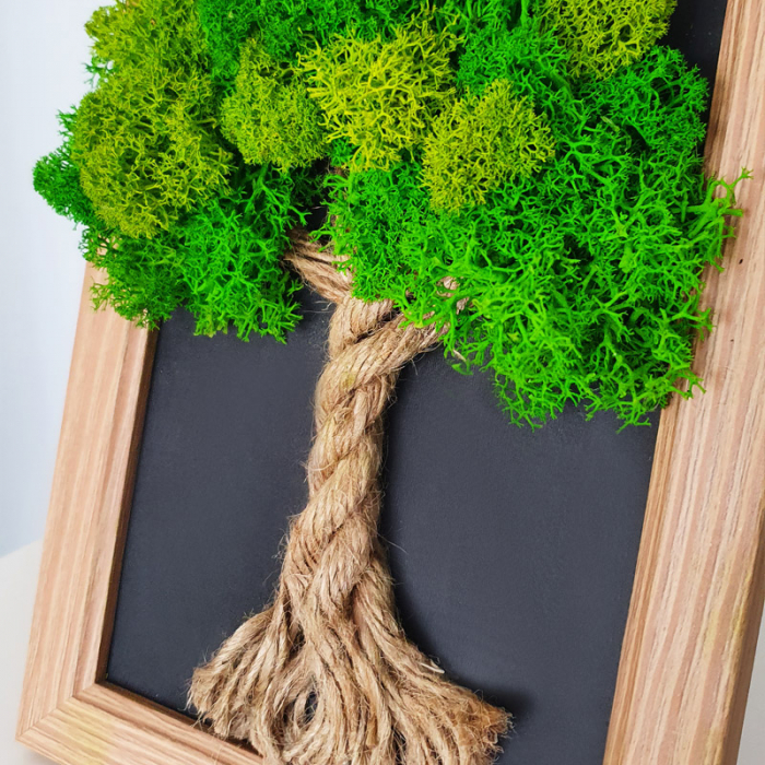 Tablou cu licheni stabilizați "Copăcel de primăvară" DecoTerrarium [3]