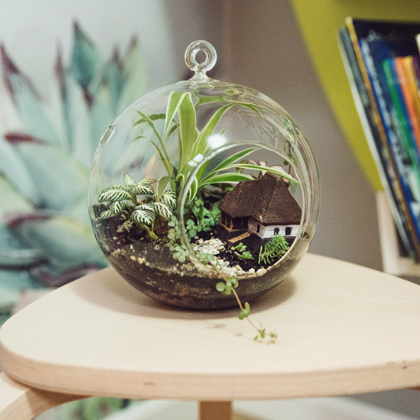 Terariu în vas de sticlă deschis "Căsuța bunicii" DecoTerrarium [6]