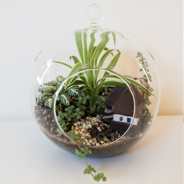 Terariu în vas de sticlă deschis "Căsuța bunicii" DecoTerrarium [2]