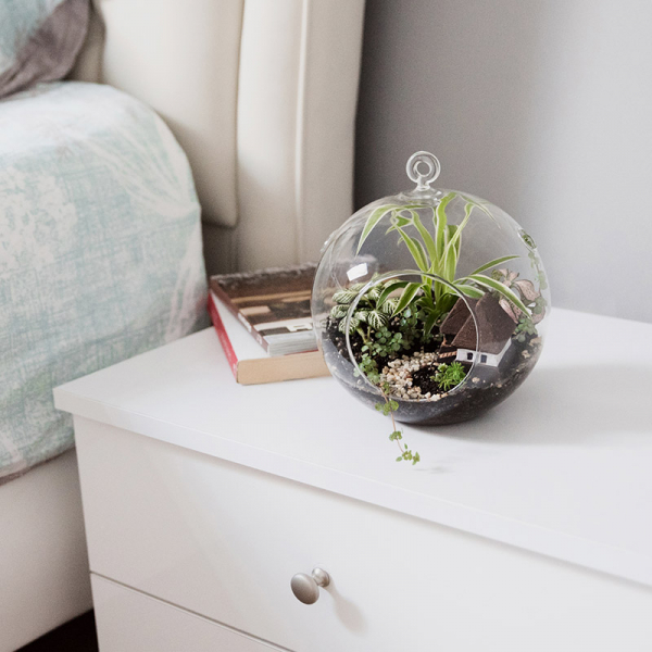 Terariu în vas de sticlă deschis "Căsuța bunicii" DecoTerrarium [4]