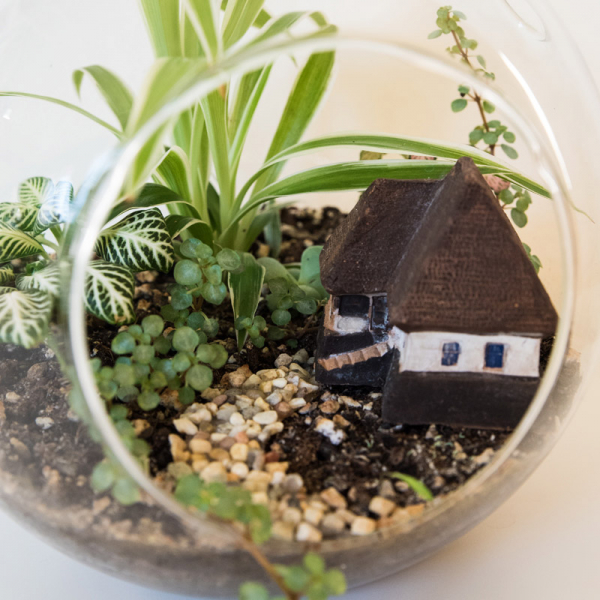 Terariu în vas de sticlă deschis "Căsuța bunicii" DecoTerrarium [3]