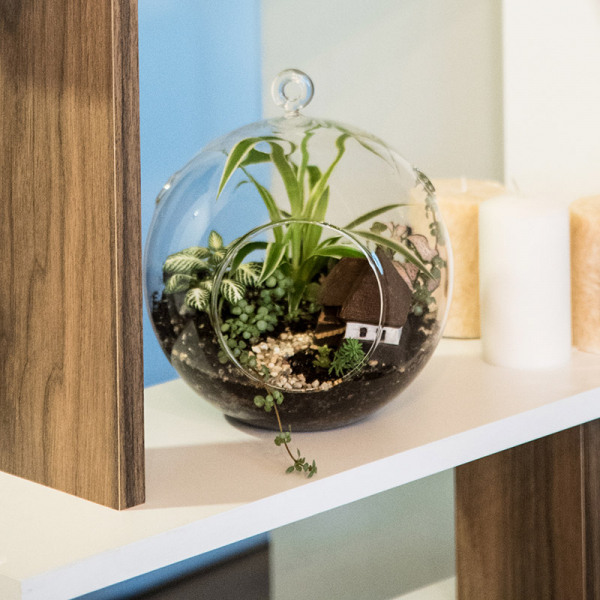 Terariu în vas de sticlă deschis "Căsuța bunicii" DecoTerrarium [5]