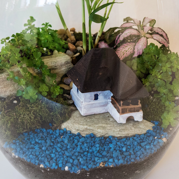 Terariu în vas de sticlă deschis "Peisaj luxuriant" DecoTerrarium [2]