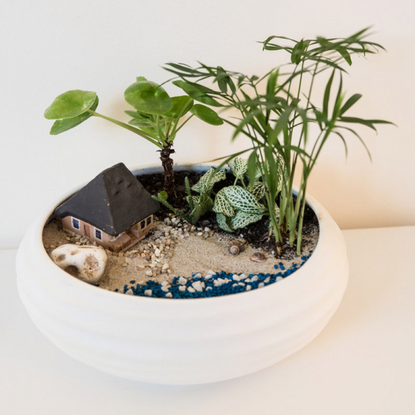 Terariu în vas de ceramică deschis "Vacanță pe plajă" DecoTerrarium [2]