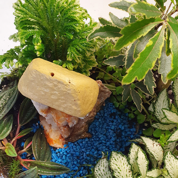 Terariu în vas de sticlă închis "Peisaj stâncos în junglă" DecoTerrarium [3]