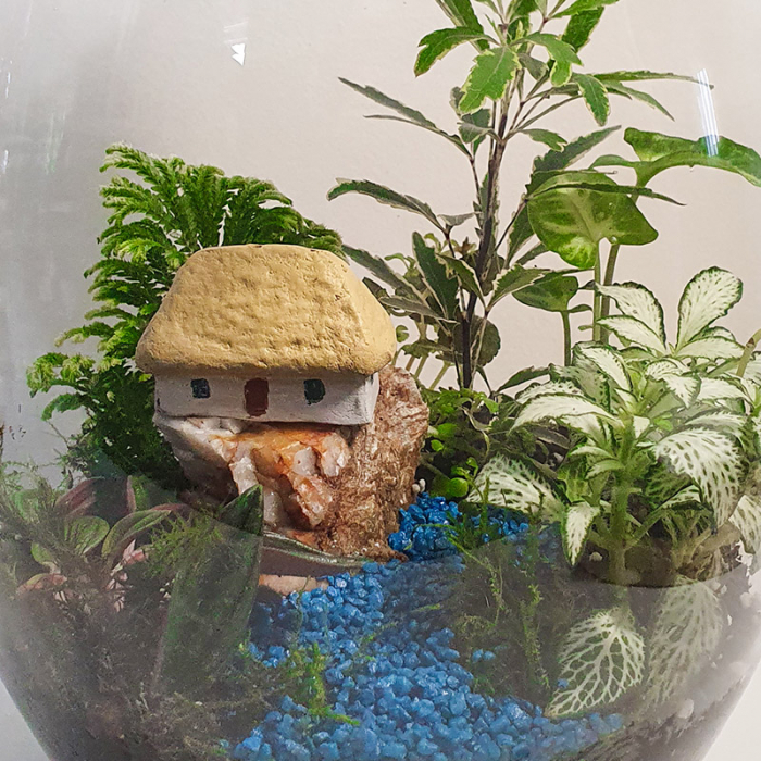 Terariu în vas de sticlă închis "Peisaj stâncos în junglă" DecoTerrarium [4]