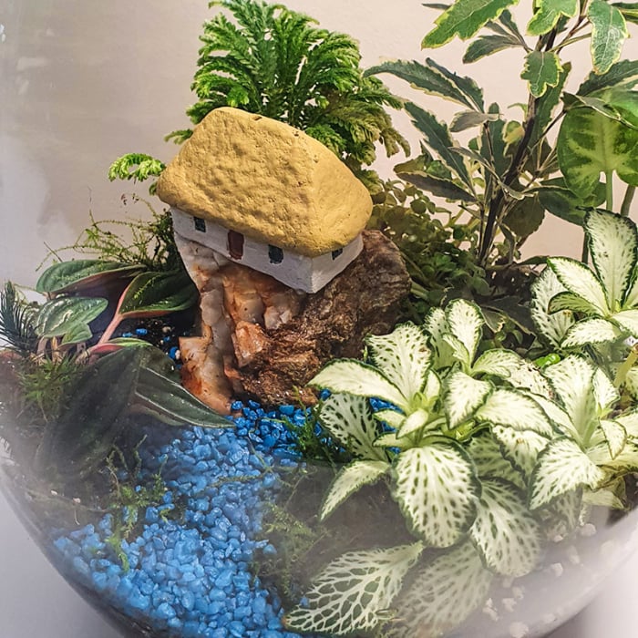 Terariu în vas de sticlă închis "Peisaj stâncos în junglă" DecoTerrarium [5]