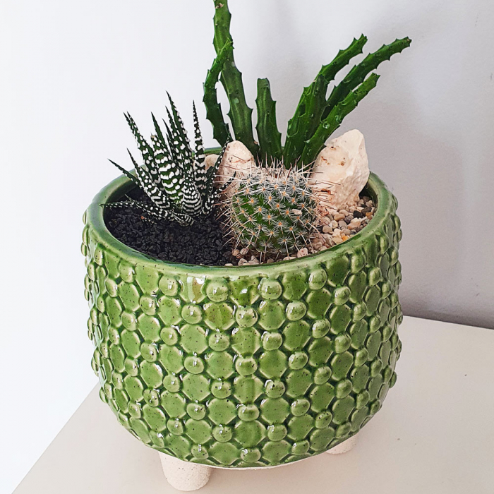 Terariu în vas de ceramică cu cactus și plantă suculentă DecoTerrarium [2]