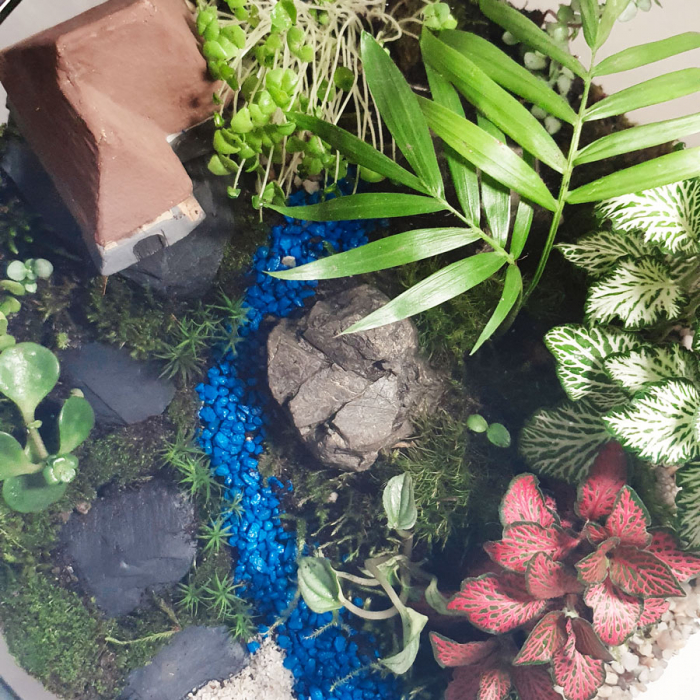 Terariu în vas de sticlă deschis mare "Refugiu în natură" DecoTerrarium [2]