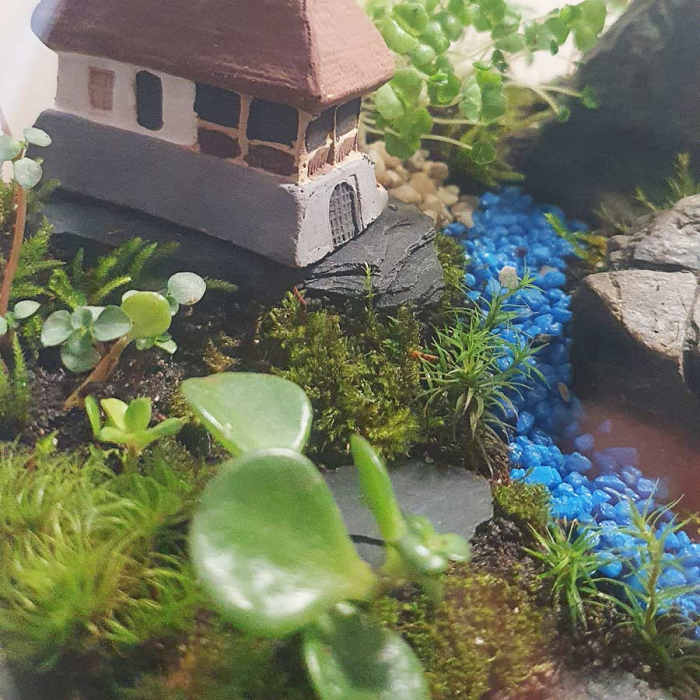 Terariu în vas de sticlă deschis mare "Refugiu în natură" DecoTerrarium [4]