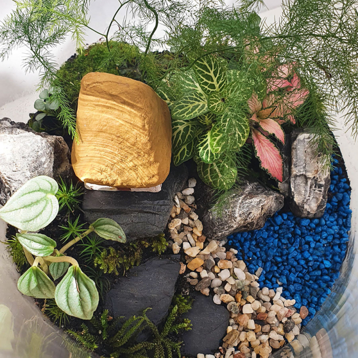 Terariu în vas de sticlă închis "Reverie de vară" DecoTerrarium [3]