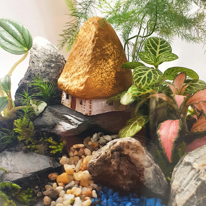 Terariu în vas de sticlă închis "Reverie de vară" DecoTerrarium [2]