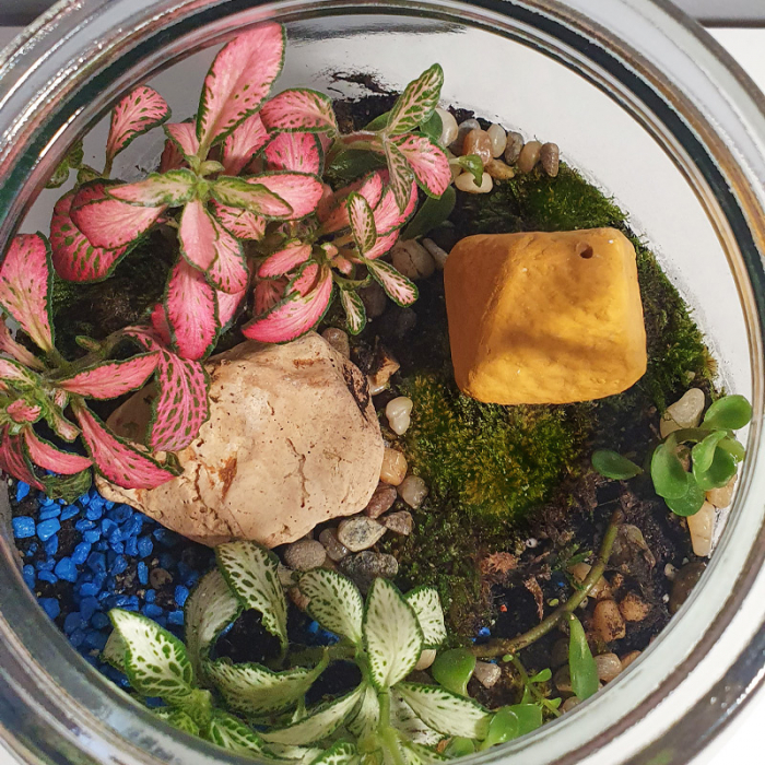 Terariu în vas de sticlă închis "Căsuța din lut" DecoTerrarium [3]