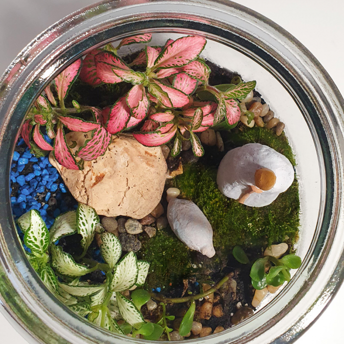 Terariu în vas de sticlă închis "Cioban și oiță" DecoTerrarium [3]