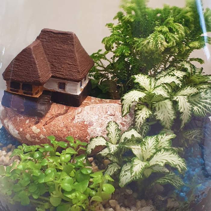 Terariu în vas de sticlă închis "Cabană pe stâncă" DecoTerrarium [3]
