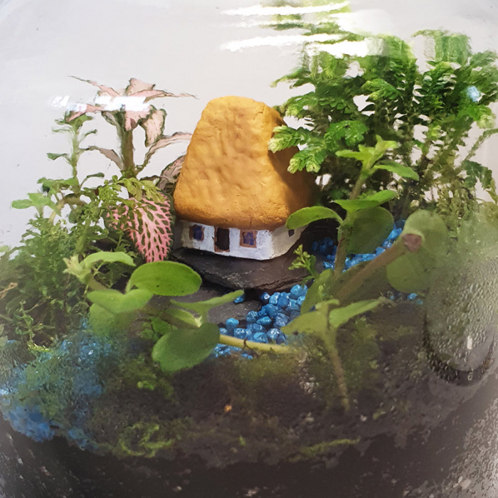 Terariu în vas de sticlă închis "Căsuță din grădina Eden" DecoTerrarium [4]