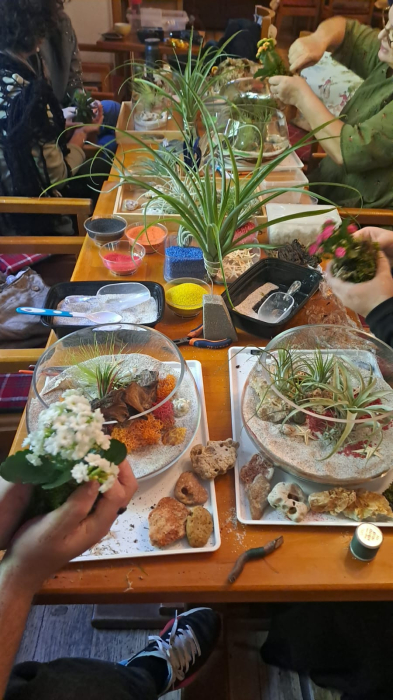Workshop –Terariu deschis cu plante aeriene “Plajă exotică” - 25 octombrie 2025 [6]