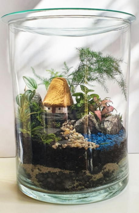 Workshop terrarium  -Magia terariilor închise- 29 martie 2025 [3]