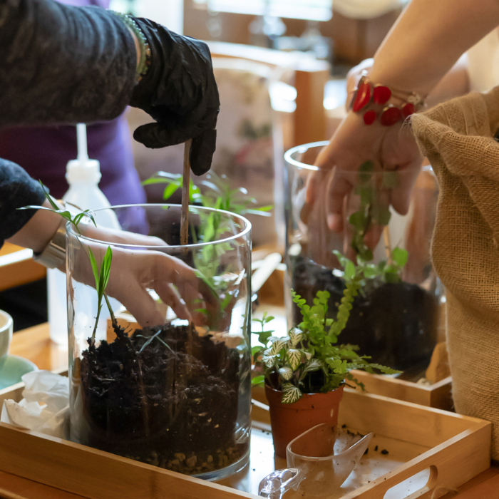 Workshop terrarium  -Magia terariilor închise- 29 martie 2025 [4]