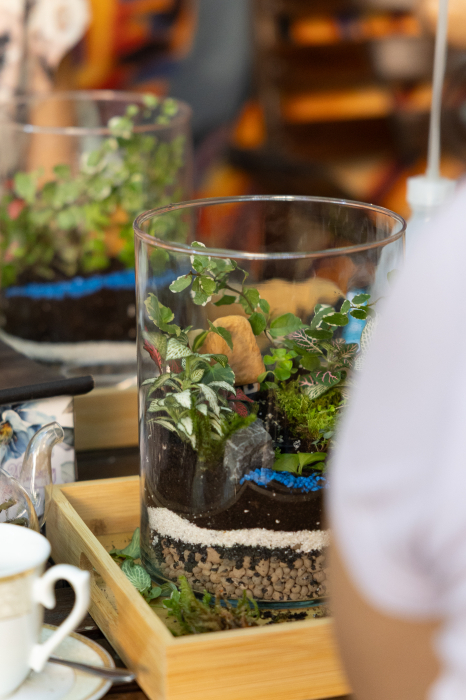 Workshop terrarium  -Magia terariilor închise- 29 martie 2025 [5]