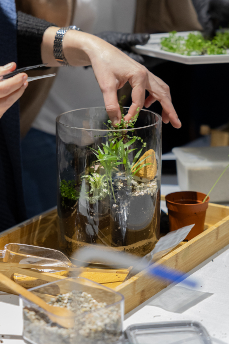 Workshop terrarium  -Magia terariilor închise- 20 septembrie 2025 [6]
